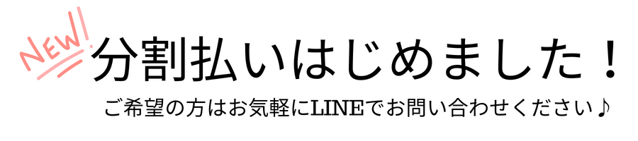 分割払い始めました